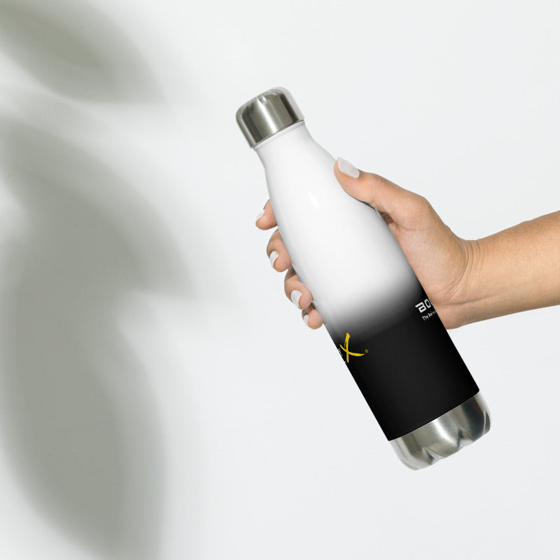 Stainless Steel BollyX Water Bottle