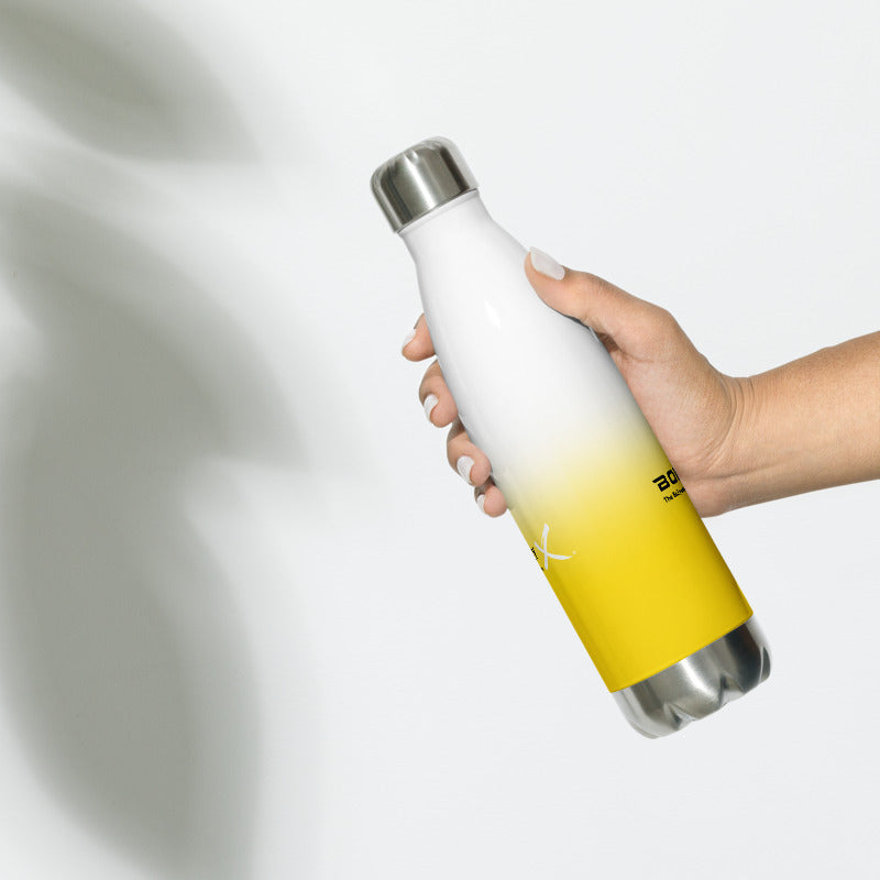 Stainless Steel BollyX Water Bottle